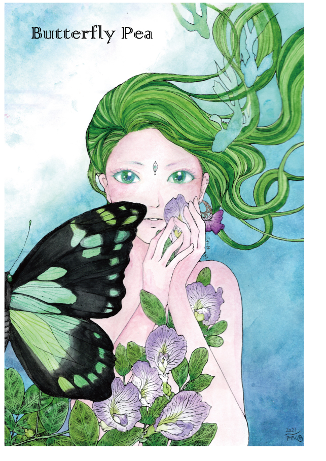 Butterfly Pea 森色