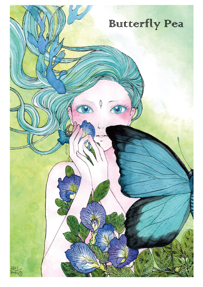 Butterfly Pea 青色